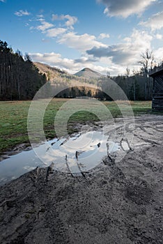 Muddy Puddle in Cataloochee Valley photo