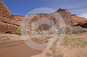 Muddy River in a Red Rock Canyon