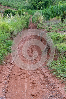 Muddy road with adventure to the forest in rainy season. Off road track. The road was filled with mud. When it rains, making dirt