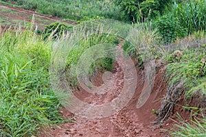 Muddy road with adventure to the forest in rainy season. Off road track. The road was filled with mud. When it rains, making dirt