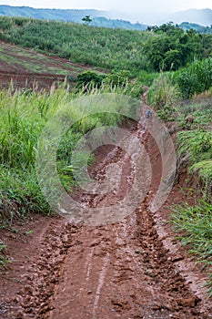 Muddy road with adventure to the forest in rainy season. Off road track. The road was filled with mud. When it rains, making dirt