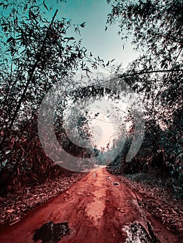 A muddy road  in a rainyday photo