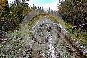 A muddy road with ruts in a cutline