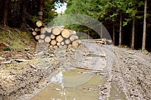 Muddy road in the woods and logs - a large pool in the foreground