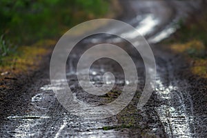 Muddy rural dirt road