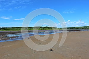 Muddy salt flats in a marsh by the seashore on Cape Breton Island in the summer