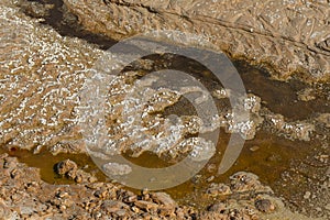 Muddy sand texture with salt cristals photo