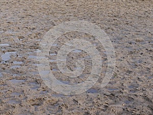 Muddy and sandy field with puddles and traces