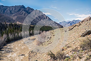 Muddy stream in mountain canyon. Yellow dirty river after flooding in early spring