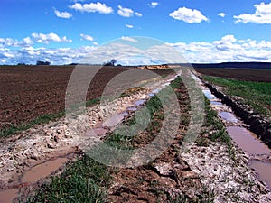Muddy track in countryside