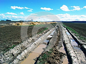 Muddy track in countryside