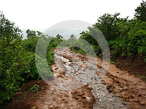 Muddy Village Road