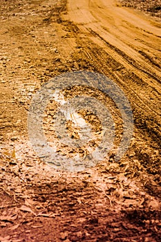 Muddy Village Road With Truck Tracks