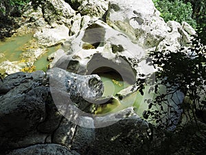 Muddy water in the depressions of a rocky gorge in a green grove