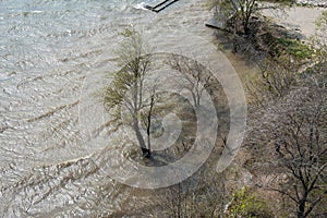 muddy water the river overflowed the banks and flooded the nearest trees