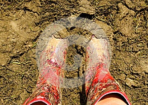 Muddy wellies Wellington Boots at a music festival