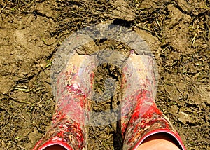 Muddy wellies Wellington Boots at a music festival photo