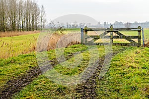 Muddy wheel tracks to a closed gate