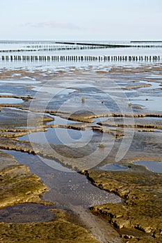 Mudflat