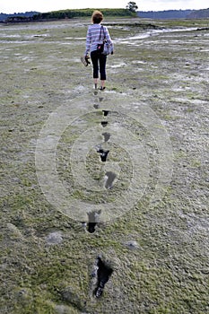 Mudflat photo