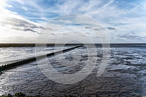 Mudflat along the Dutch coast