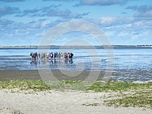 Mudflat hikers in East Frisia near photo