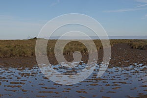 Mudflat, near Bay City Texas