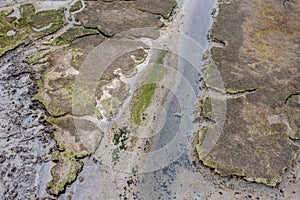 Mudflats