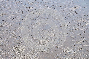 Mudflats at Low Tide on a Fine Day