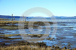 Mudflats at low tide with mountains on the horizon