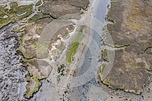 Mudflats photo