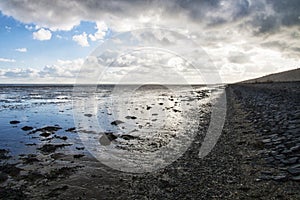 Mudflats in the Waddenzee at Texel, Netherlands