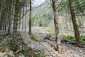 Mudflow at the Goeriachtal in Lungau, Austria