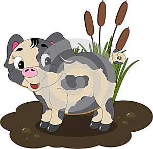 Mudhole Pig
