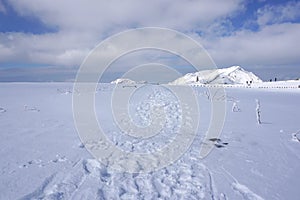 Mudoro field in November with snow mountain background