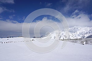 Mudoro field in November with snow mountain background