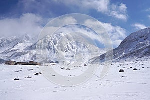 Mudoro field in November with snow mountain background
