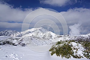 Mudoro field in November with snow mountain background