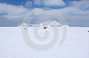 Mudoro field in November with snow mountain background