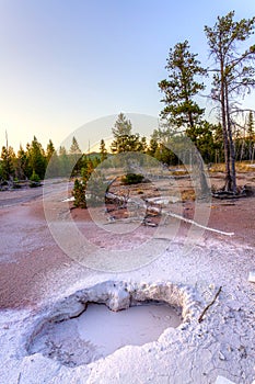 Mudpots at Artists Paintpots in Yellowstone National Park