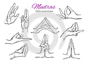 Mudras hands vector. Vector hand drawn set of mudras. Isolated on white. Yoga. Spirituality. Sketch style