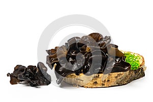 Muer mushrooms on wooden cross section isolated on white background. Jew`s ear mushrooms studio shot. Edible dark fungus