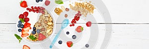 Muesli breakfast fruits yogurt strawberries cereals berries banner bowl top view