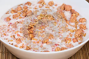 Muesli with dried fruits drenched in milk in bowl