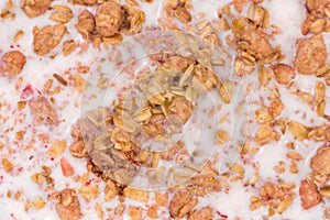 Muesli with dried fruits drenched in milk close-up