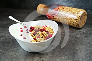 Muesli with srawberry and cranberry with yogurt in white bowl on grey background.