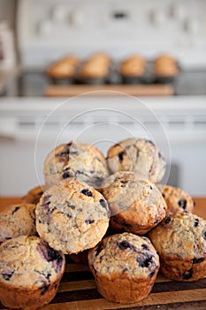 Muffin Bake with Blueberries