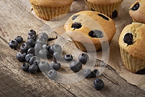 Muffin with blueberries on a wooden table. fresh berries and sweet pastries on the board