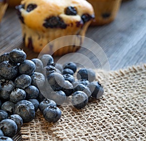 Muffin with blueberries on a wooden table. fresh berries and sweet pastries on the board