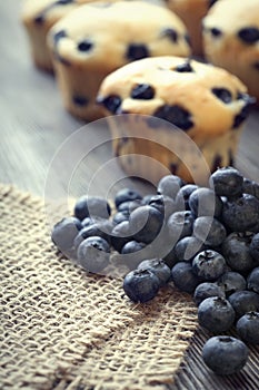 muffin with blueberries on a wooden table. fresh berries and sweet pastries on the board.